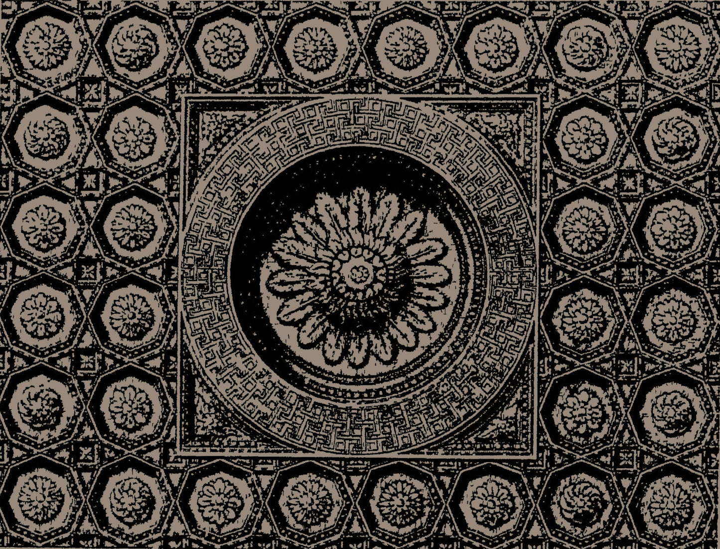 Aurora Reginae - Olio Profumato