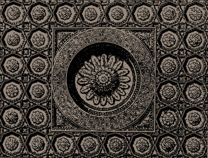 Aurora Reginae - Olio Profumato