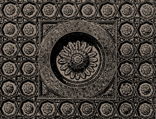 Aurora Reginae - Olio Profumato